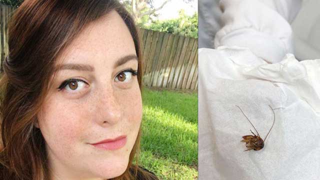 কান থেকে ৯ দিন পর বের হলো তেলাপোকা