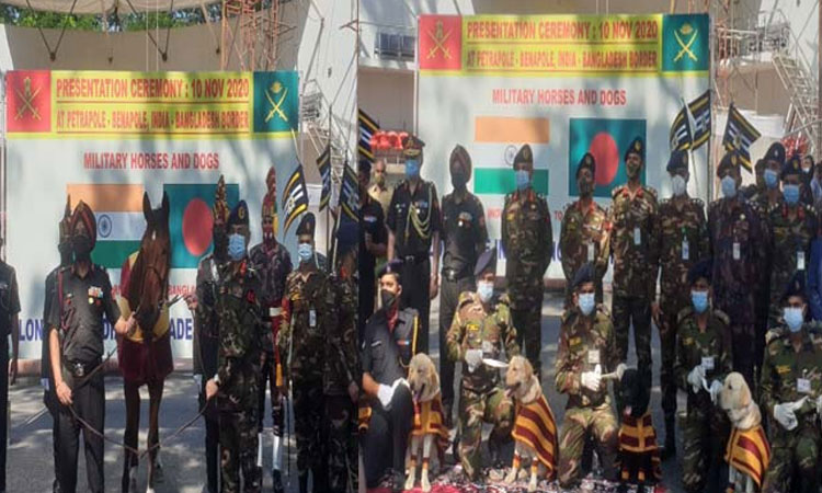 সেনাবাহিনীকে প্রশিক্ষণপ্রাপ্ত ঘোড়া ও কুকুর দিল ভারত
